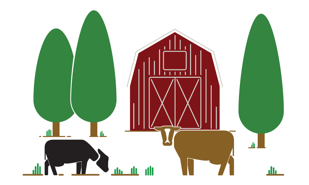 Cows grazing on farm